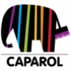 caparol-logo-front